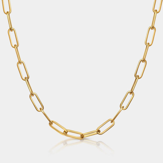 Paper clip necklace